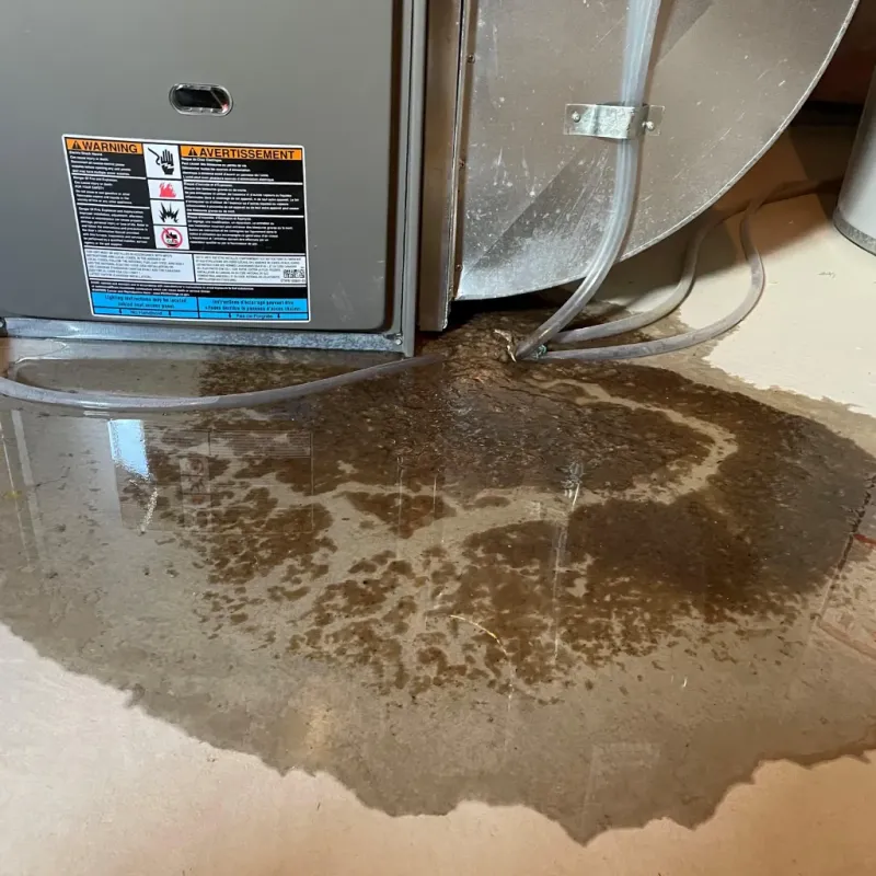 Appliance Leak Cleanup in Suncoast Estates, FL